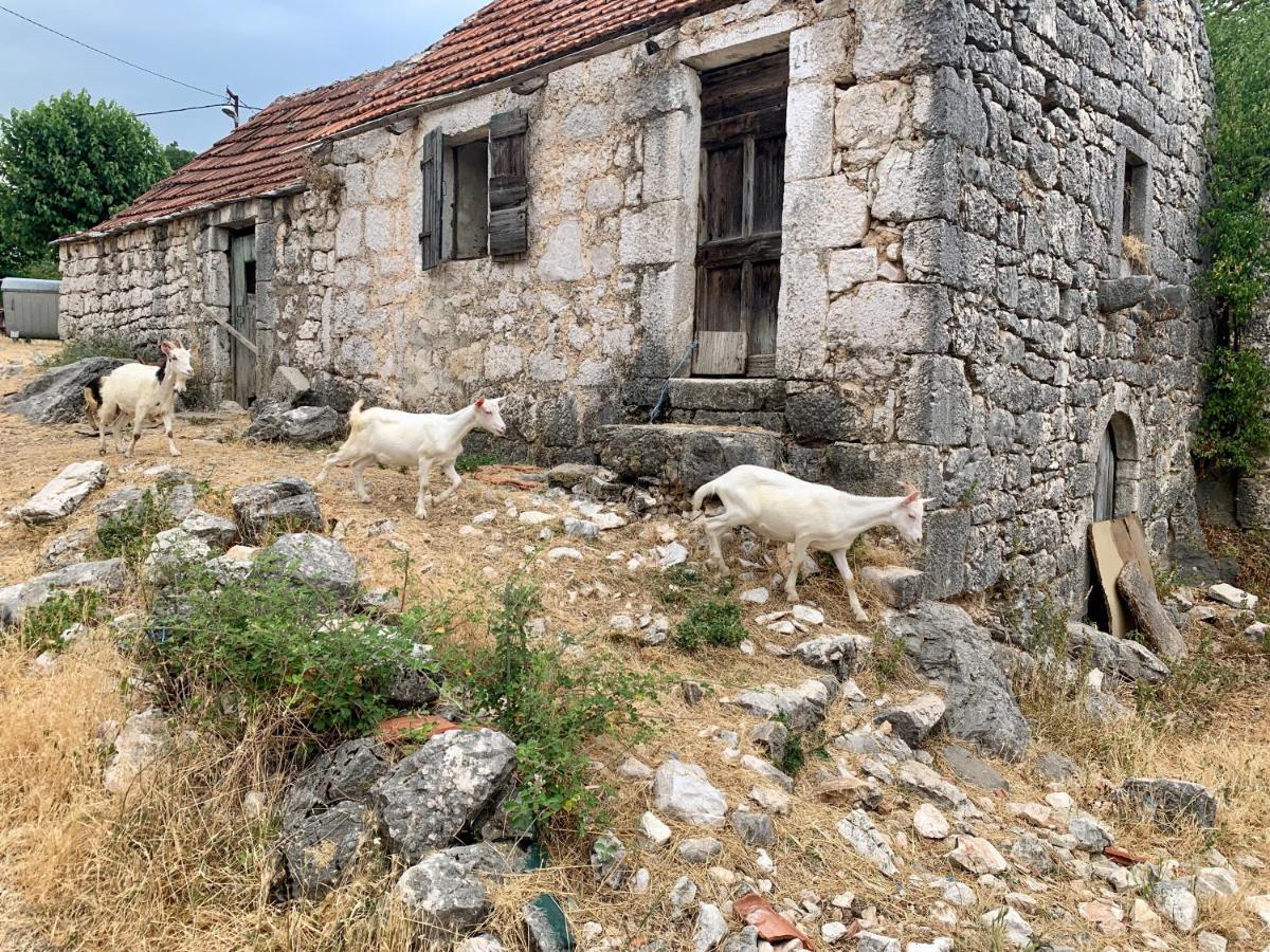 Bungalow Angelina Imotski - Gornji Prolozacヴィラ エクステリア 写真