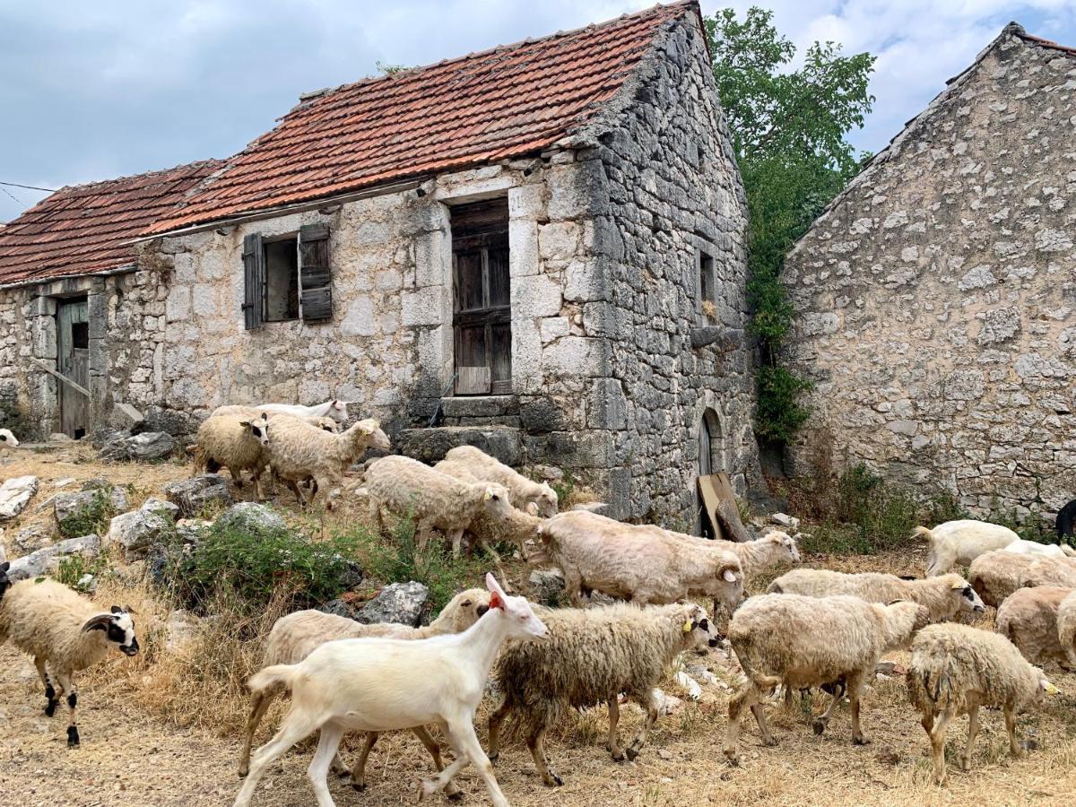 Bungalow Angelina Imotski - Gornji Prolozacヴィラ エクステリア 写真